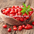 Antioxidant Anti-aging Superfood Goji Berry Fruit